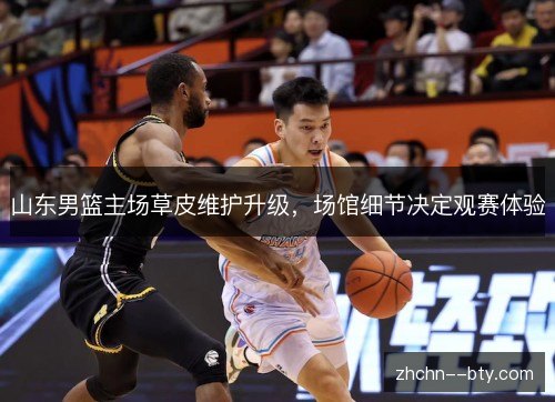 山东男篮主场草皮维护升级，场馆细节决定观赛体验